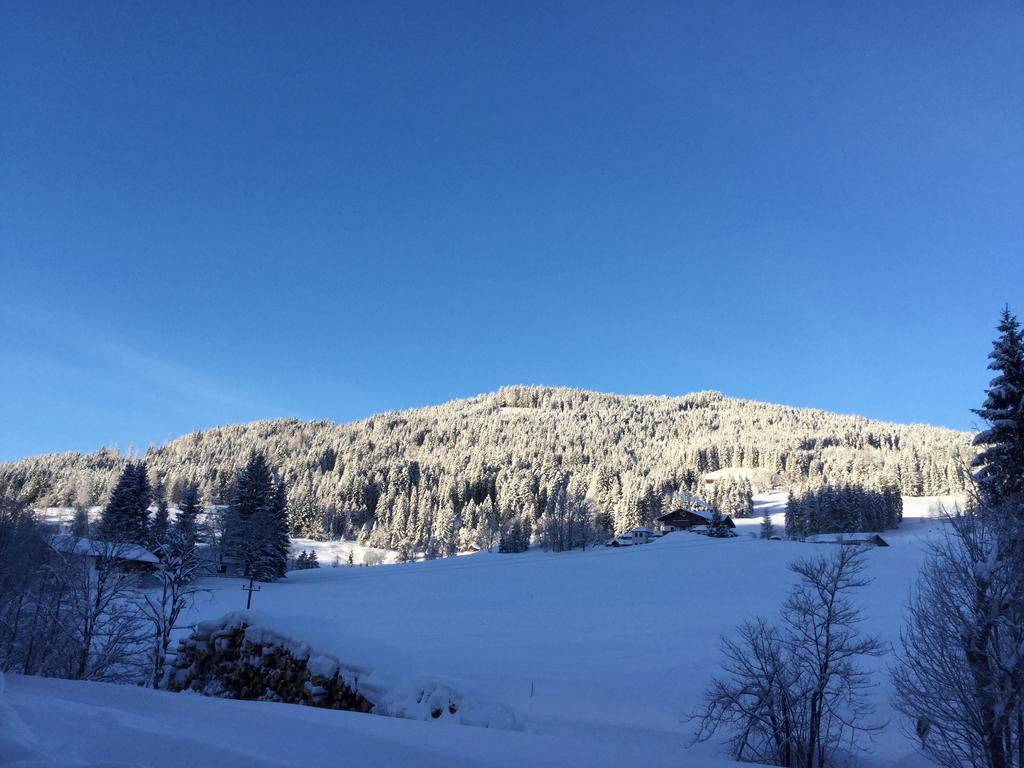 Ferienwohnungen Vierthaler Filzmoos Buitenkant foto